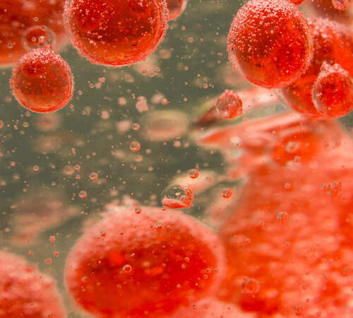 Physikalische Gefäßtherapie BEMER